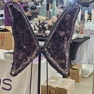 Like this listing to be notified When I Go Live